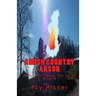Amish Country Arson: Nurse Hal Among The Amish