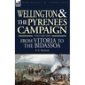 Wellington and the Pyrenees Campaign Volume I: From Vitoria to the Bidassoa