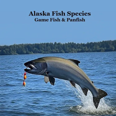 Alaska Game Fish and Panfish Species Kids Book: Great Book About the Different Types of Fish in Alaska