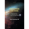 The Hunger for More: God, Gravity, and the Big Bang