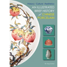 Illustrated Brief History of Chinese Porcelain: History - Culture - Aesthetics