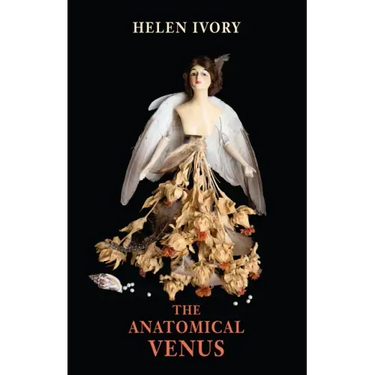 The Anatomical Venus