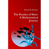 The Puzzles of Mars: A Mathematical Journey