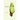 Seed