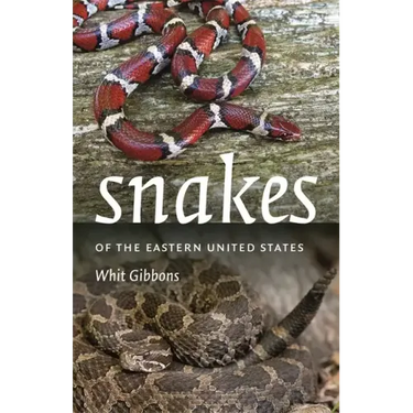 Snakes of the Eastern United States
