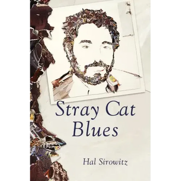 Stray Cat Blues
