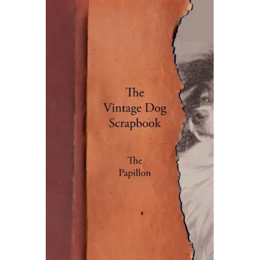 The Vintage Dog Scrapbook - The Papillon