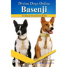 Basenji