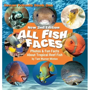 All Fish Faces: Photos and Fun Facts about Tropical Reef Fish