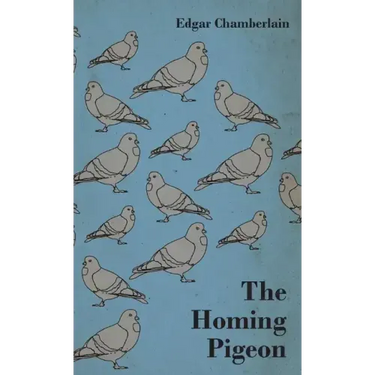 The Homing Pigeon