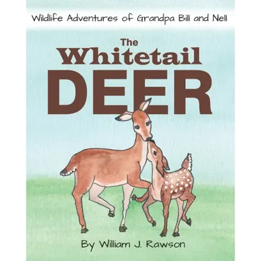The Whitetail Deer