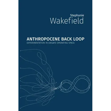 Anthropocene Back Loop: Experimentation in Unsafe Operating Space