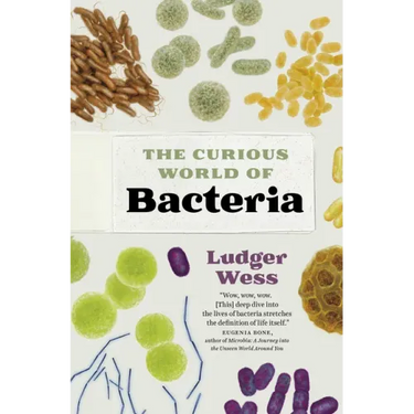 The Curious World of Bacteria