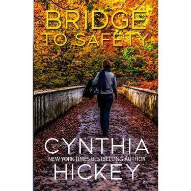 Bridge to Safety