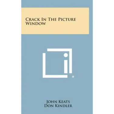 Crack in the Picture Window