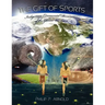 The Gift of Sports: Indigenous Ceremonial Dimensions of the Games We Love (First Edition)