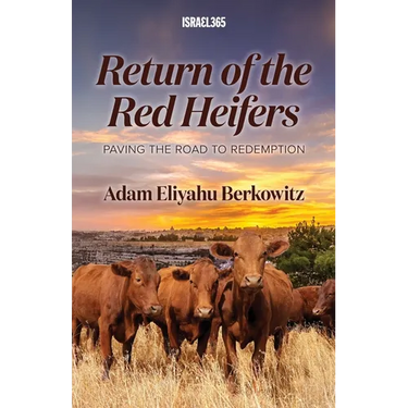 Return of the Red Heifers