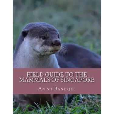 Field Guide to the Mammals of Singapore
