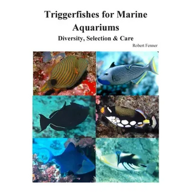 Triggerfishes for Marine Aquariums: Diversity, Selection & Care