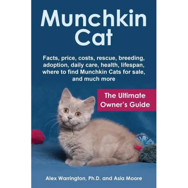Munchkin Cat: The Ultimate Owner's Guide