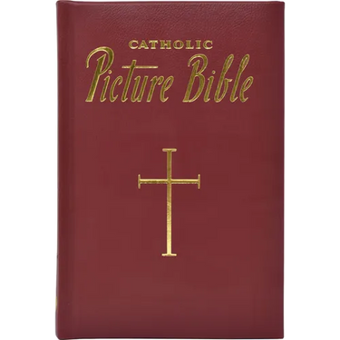 New Catholic Picture Bible: Popular Stories from the Old and New Testaments