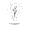 la luce vince sempre: the light always wins