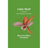 Little Wolf: A Tale of the Western Frontier