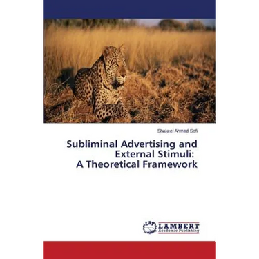 Subliminal Advertising and External Stimuli: A Theoretical Framework