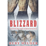 Blizzard: A Festive Reverse Harem Romance
