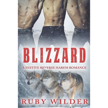 Blizzard: A Festive Reverse Harem Romance