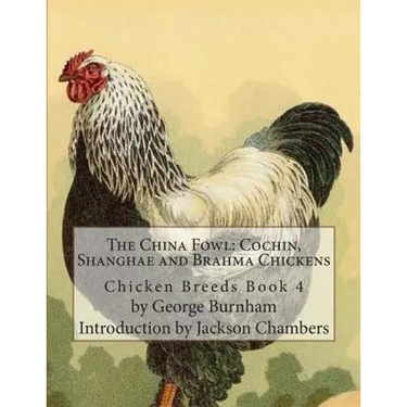 The China Fowl: Cochin, Shanghae and Brahma Chickens: Chicken Breeds Book 4