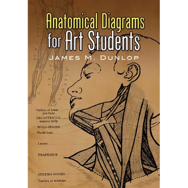 Anatomical Diagrams for Art Students
