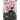 Riot ACT