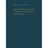 Electron Microscopic Atlas of Lymph Node Cytology and Pathology