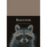 Raccoon