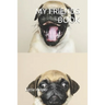My Friends Book