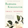 Small Wonder: Essays