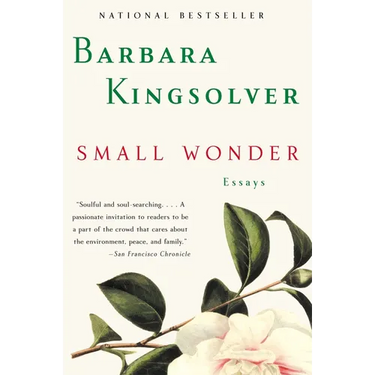 Small Wonder: Essays
