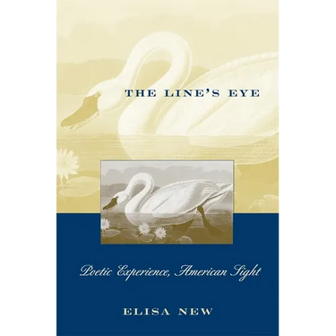 The Line's Eye: Poetic Experience, American Sight