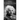 Albert Einstein: A Life from Beginning to End