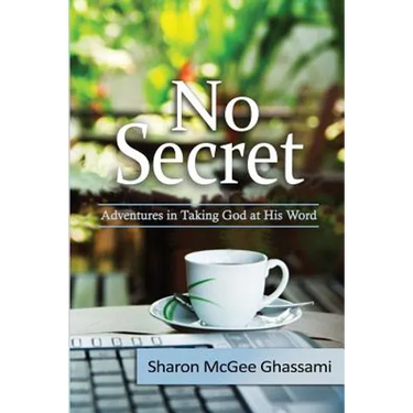 No Secret: Adventures in Taking God at His Word