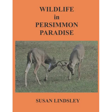 Wildlife in Persimmon Paradise