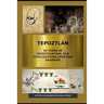 Tepoztlán 10 Years of Investigation Old Civilizations, UFOs and Shamans