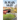 In Plain Sight