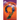 The Summer of the Ennead: A Tale of Awakening
