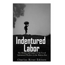 Indentured Labor: The History and Legacy of the Use of Indentured Workers in the Modern Era