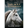 The Galway Connemara The Autobiography of an Irish Connemara Pony - Dyslexia Friendly