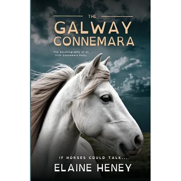 The Galway Connemara The Autobiography of an Irish Connemara Pony - Dyslexia Friendly