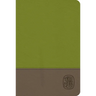 NRSV Wesley Study Bible: Sage Thicket Decotone