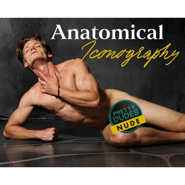 Anatomical Iconography